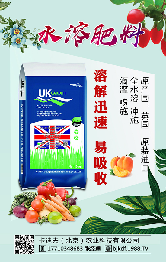 黃花菜要怎么種植？黃花菜對環(huán)境條件的要求！