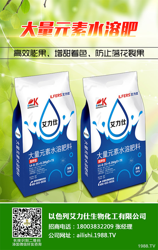 芹菜根腐病是如何發(fā)生的？該怎樣防治？快來看看吧！