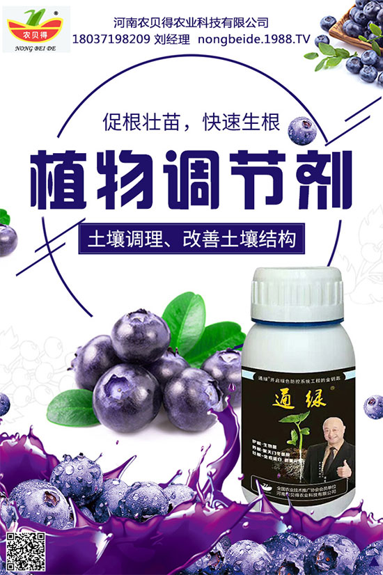種植生姜施肥要點(diǎn)，生姜施肥用什么肥料？