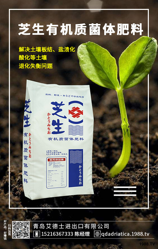 櫻桃有哪些營(yíng)養(yǎng)價(jià)值，櫻桃的功效與作用是什么，如何選購(gòu)？