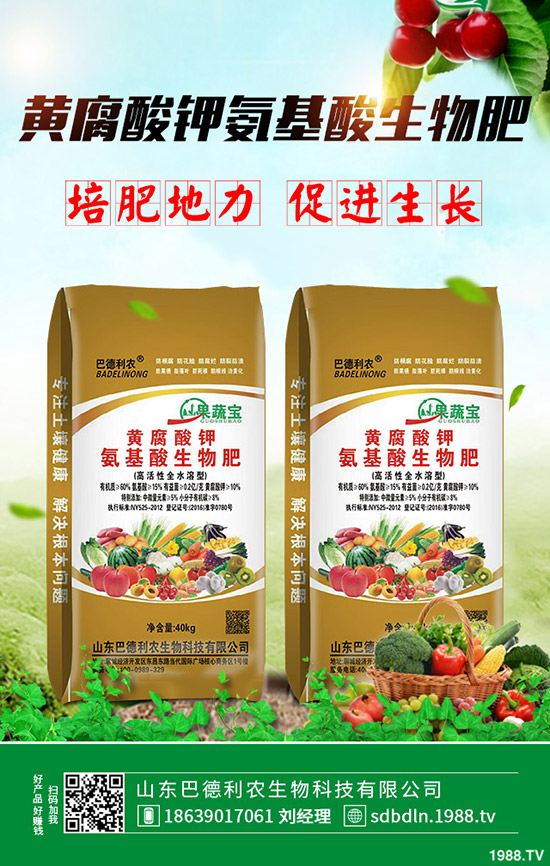     2020年春季馬鈴薯什么時候種植好？播種時間及種植注意事項！