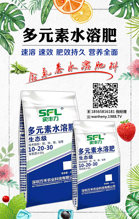 �߮a(ch��n)���׷N�� ���׷N���b�e����