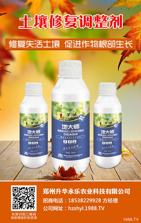 芍藥怎么種，芍藥種植技術要點有哪些？