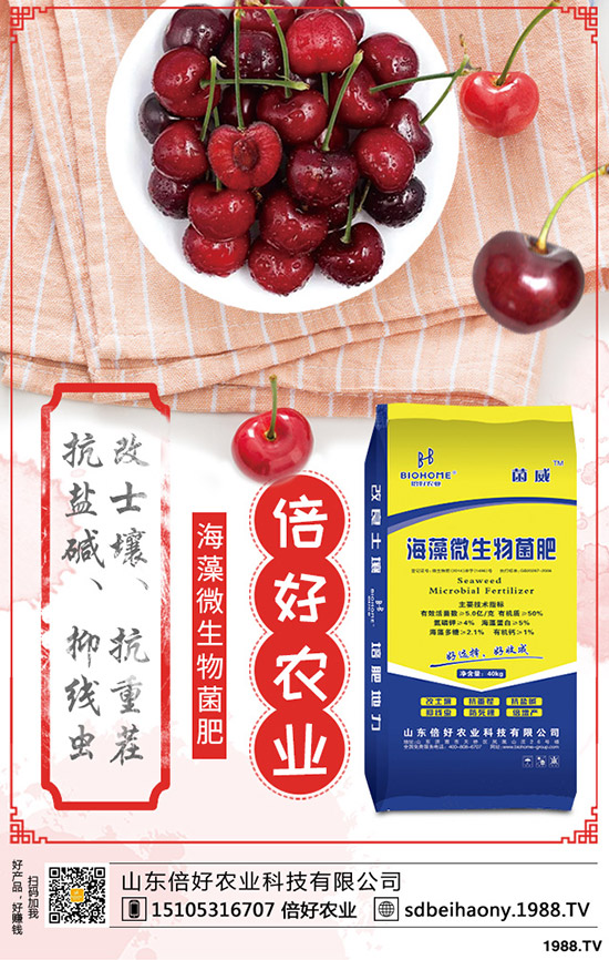     2020尿素價格要上漲！最新尿素行情走勢分析！