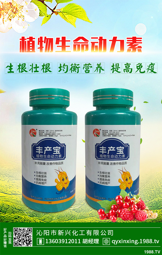 怎樣才能種好大白菜？大白菜高產(chǎn)種植技術(shù)要點(diǎn)