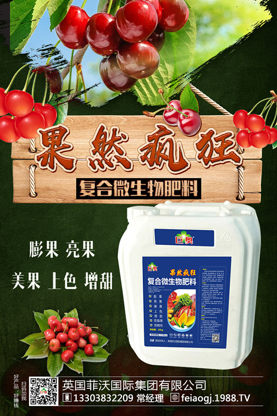 如何種植糯玉米才能實現(xiàn)高產(chǎn)？糯玉米種植要點有哪些