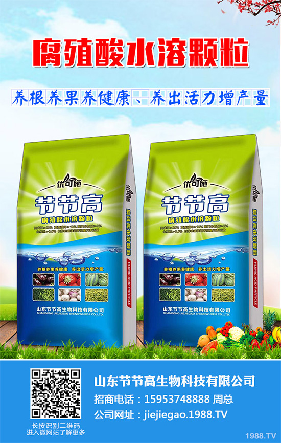 種植香菇前景如何？2020年香菇種植前景分析