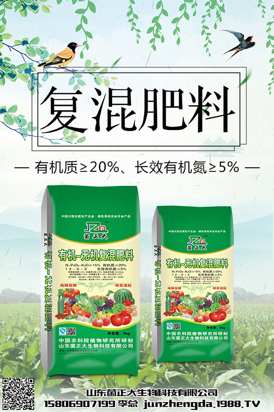 種植香菇前景如何？2020年香菇種植前景分析