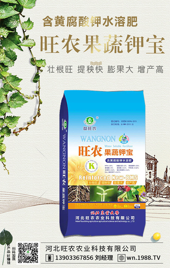 郁金香生長習性有哪些？郁金香養(yǎng)護要點！