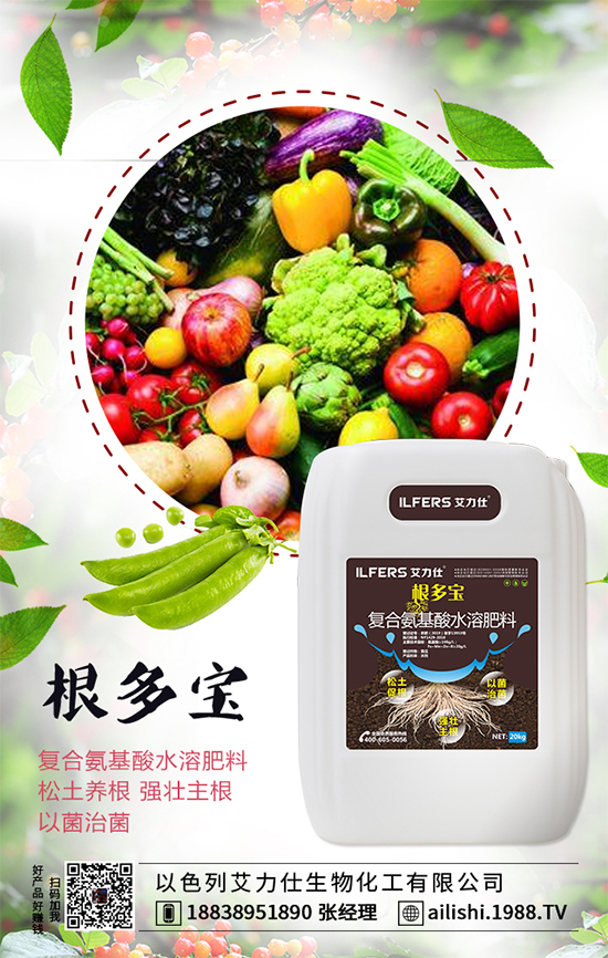 扁豆什么時間種植？扁豆高產(chǎn)栽培技術(shù)！