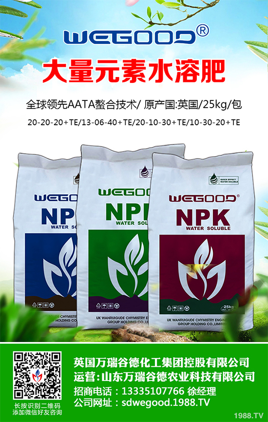 露地辣椒什么時(shí)候種植？露地辣椒高產(chǎn)種植技術(shù)