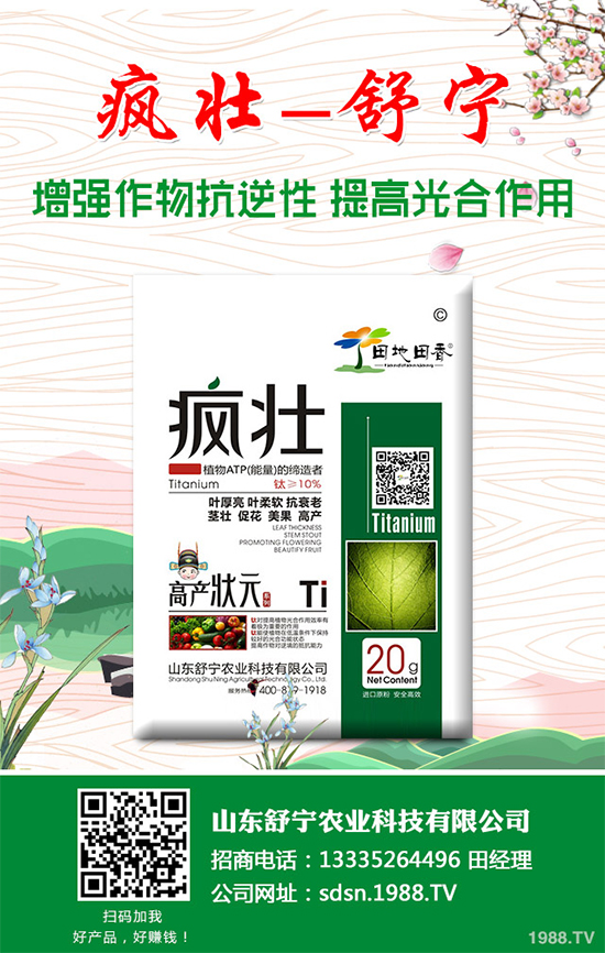 種植香菇需要投入多少？香菇種植成本利潤(rùn)分析