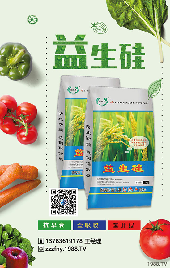 大蒜產(chǎn)量拔高，冬季施肥要注意四項！