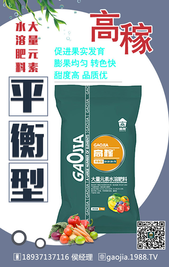 冬季拔高大蒜產(chǎn)量，離不開大蒜的合理管理！