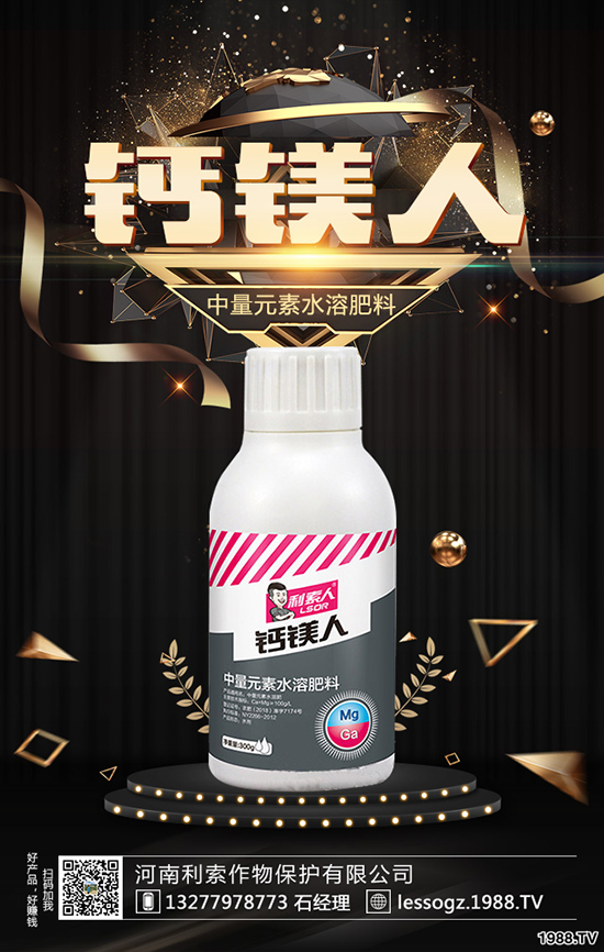 白菜價格多少錢一斤？白菜畝產(chǎn)多少斤？種植前景怎么樣？