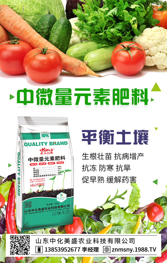 冬季草莓怎么管？冬季草莓管理措施！