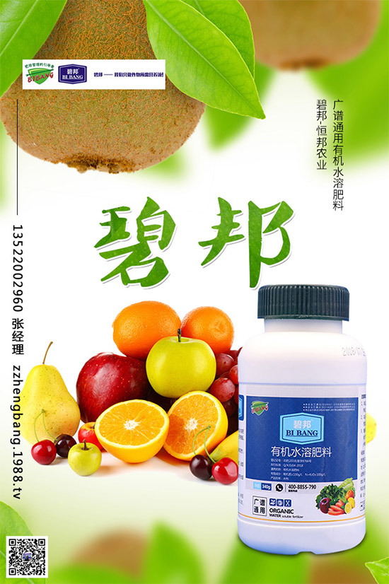 春季甘藍(lán)該如何種植？春甘藍(lán)高產(chǎn)管理技術(shù)