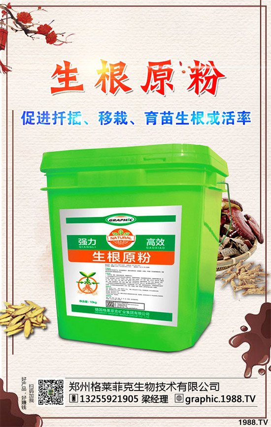 春季甘藍(lán)該如何種植？春甘藍(lán)高產(chǎn)管理技術(shù)