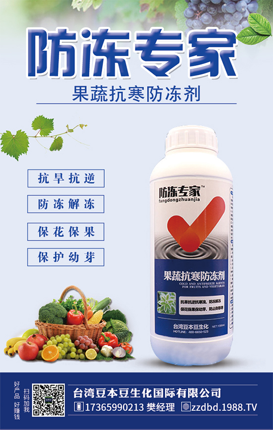 芒果幼苗時期怎么管？芒果修剪管理技術！