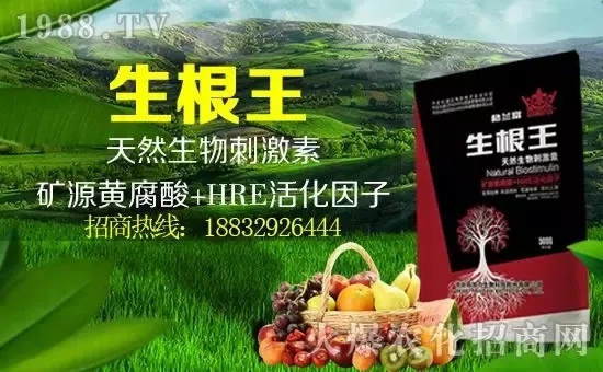 小麥漲價！個別報價超過2500元/噸！