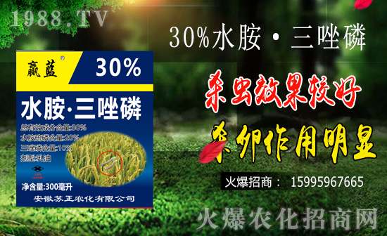 水稻鉆心蟲防治難點(diǎn)有哪些？水稻鉆心蟲危害及防治要點(diǎn)！