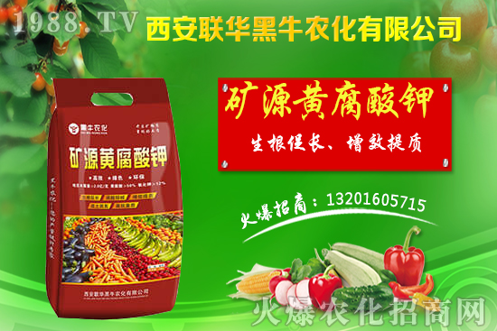 秋季果樹該如何管理？秋季果樹管理應(yīng)避免的四大誤區(qū)！