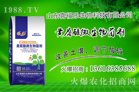 花生價格穩(wěn)中偏強！2020年10月14日花生價格行情分析