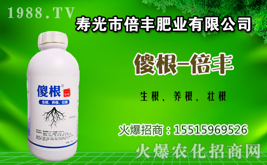 茄子種植該如何施肥？茄子的基肥與追肥方法！