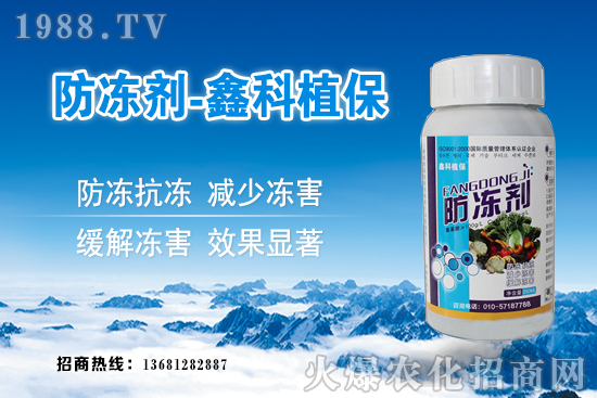 西葫蘆旺長(zhǎng)什么原因？西葫蘆如何控旺？西葫蘆旺長(zhǎng)補(bǔ)救措施！