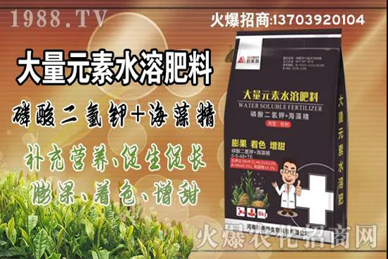 蔬菜旺長(zhǎng)有哪些危害？秋茬蔬菜控旺三要點(diǎn)！