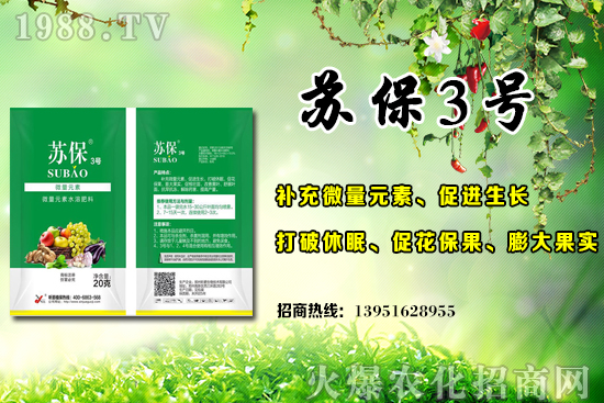 大棚黃瓜應(yīng)該在什么時(shí)候施肥？大棚黃瓜底肥施用的3個(gè)誤區(qū)！