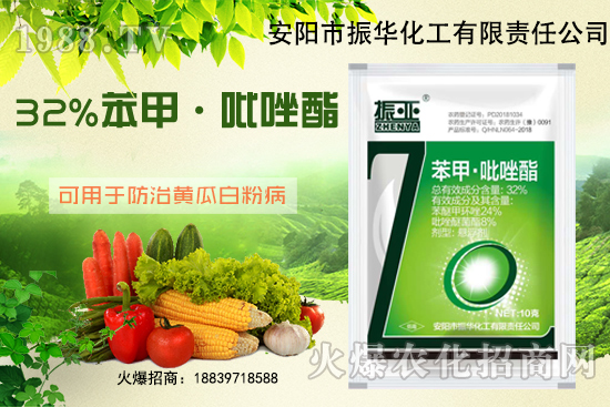 大棚黃瓜白粉病什么藥有用？發(fā)病條件如何避免？