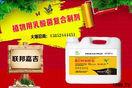 大蔥生長條件有哪些？大蔥需肥特點(diǎn)及秋季管理！