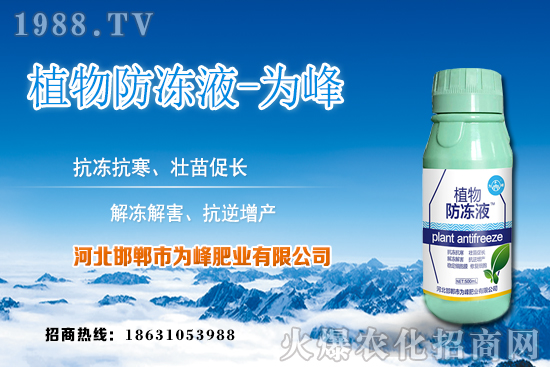 蘆薈的生長規(guī)律有哪些？蘆薈種植方法及種植注意事項！