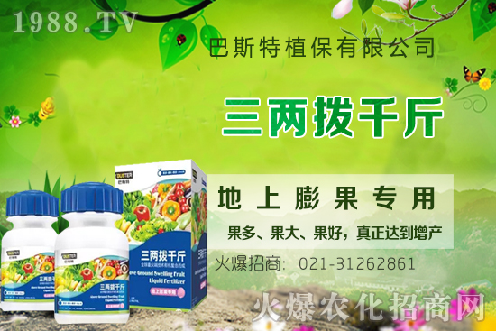 影響牛膝根系的生長(zhǎng)因素有哪些？牛膝生根壯苗用什么葉面肥？