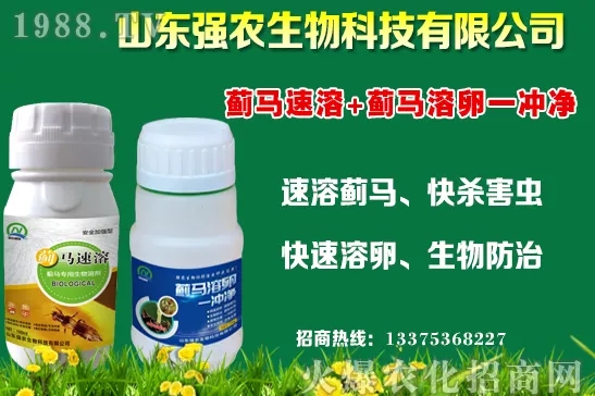 秋冬11月種植什么蔬菜比較合適？蔬菜種植注意事項(xiàng)！