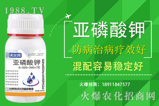 氮磷鉀主要的作用是什么？三者之間有什么關(guān)注？