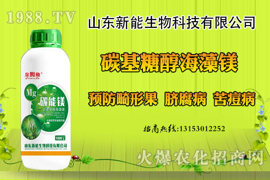 冬季大棚草莓畸形果原因，出現(xiàn)畸形果怎么防治？