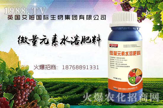 鐵、鋅、硼缺失癥狀，怎么補充作物所需元素？