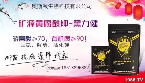 大蒜什么時(shí)間播種？注意事項(xiàng)有哪些？各地大蒜種植時(shí)間表！