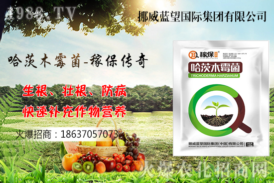 收獲后的小麥如何儲存呢？小麥儲藏關(guān)鍵點管理！