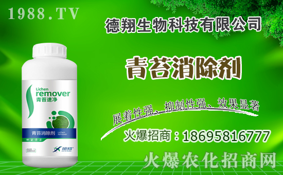 油菜什么時間種植，油菜種植方法是什么？有哪些注意事項？