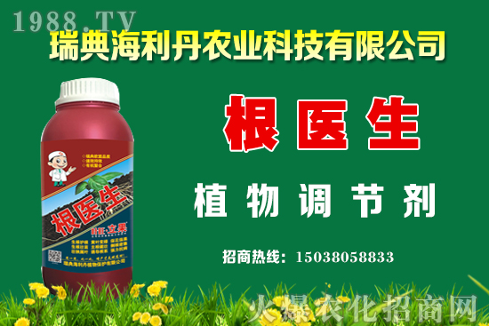 油菜怎么管理能提高產(chǎn)量？油菜抗寒防凍措施有哪些？