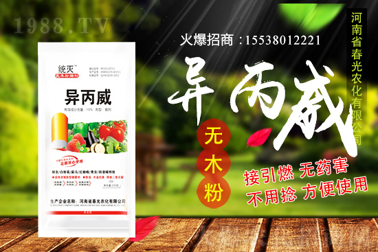 蒜苗種植前景及怎么樣？蒜苗種植要點(diǎn)及田間管理！