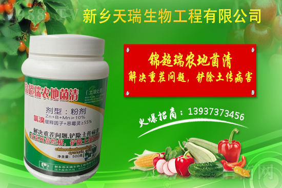 洋蔥如何施肥？洋蔥施肥方法及播種時間！