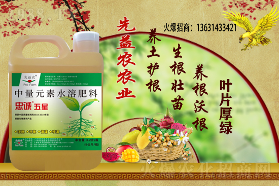 小麥價格多少錢一斤？今日小麥價格行情！