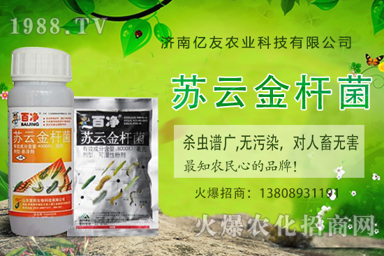 黃桃種植應該注意哪些事項？黃桃種植時間及田間管理！