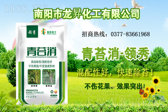 大豆供不應求，價格持續(xù)上漲！各地大豆價格行情