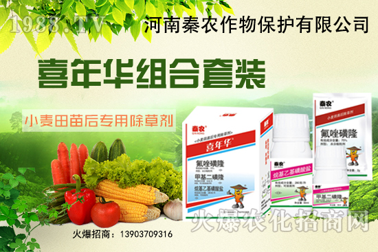 小麥為什么要冬前除草？選什么除草劑效果好？