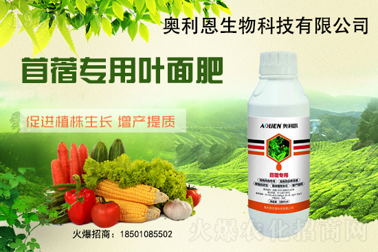 苜蓿越冬肥怎么施？苜蓿的施肥管理